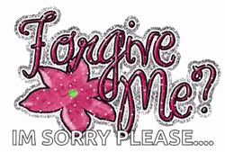 Forgive Me? I'm Sorry Please GIF