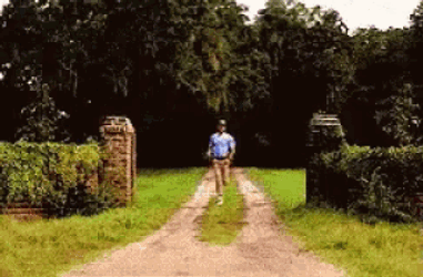 Forrest Gump Omw GIF