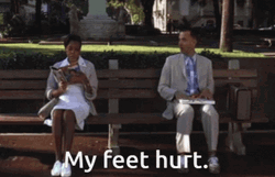 Forrest Gump On The Bench GIF