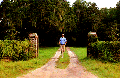 Forrest Gump Running On Road GIF