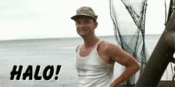 Forrest Gump Wave Halo GIF