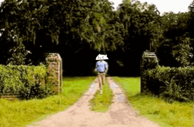 Forrest Gump With Bongo Cat Head Running GIF