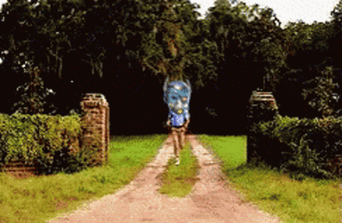 Forrest Gump With Particlon NFT Head Running GIF