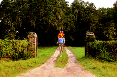 Forrest Gump With Red Bird Head Running GIF