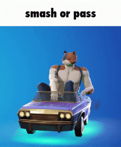 Fortine Smash Or Pass GIF