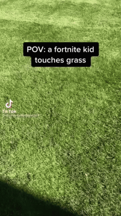 Fortnite Kid Touching Grass GIF
