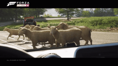 Forza Horizon 4 Sheep Walking On Road GIF