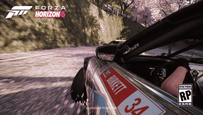 Forza Horizon 6 Car Driving Down Road GIF