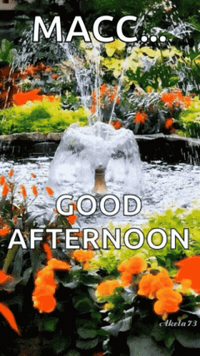 Fountain With Good Afternoon GIF