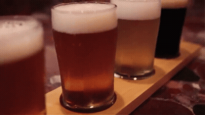 Four Glasses Of Beer On Wooden Shelf GIF