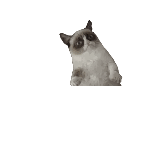 Four Grumpy Cats Are Looking At The Camera With A White Background Sticker