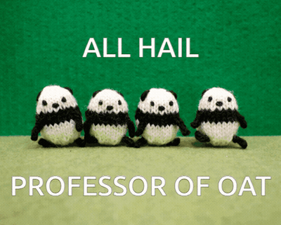 Four Knitted Panda Bears Are Lined Up In A Row With The Words All Hail Professor Of Oat Below Them GIF