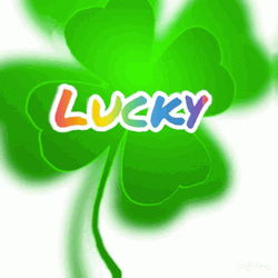 Four Leaf Clover Lucky GIF
