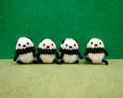 Four Panda Toys Bow GIF
