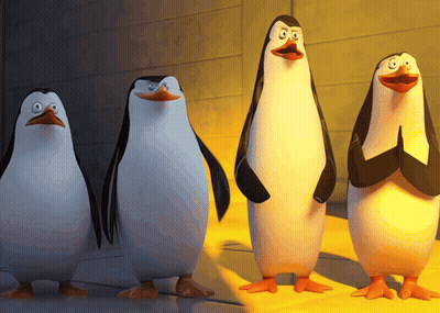 Four Penguins Are Standing Next To Each Other With Their Arms Folded GIF