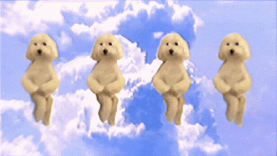 Four Small Dogs Dancing In Sky With Clouds GIF