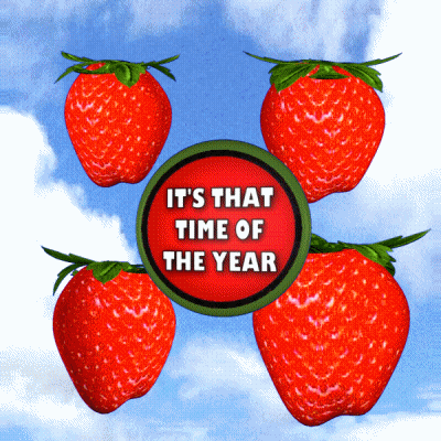 Four Strawberries Surrounding Red Sign Saying It's That Time Of The Year GIF