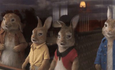 Four Stuffed Rabbits Looking Out Window GIF