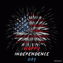 Fourth Of July GIF