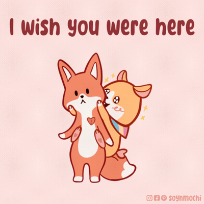 Fox And Dog Saying I Wish You Were Here GIF