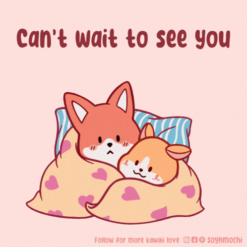 Fox And Dog Wrapped In Blanket Can't Wait To See You GIF