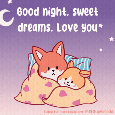 Fox And Dog Wrapped In Blanket Good Night GIF