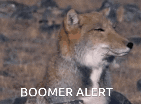 Fox Boomer Alert GIF