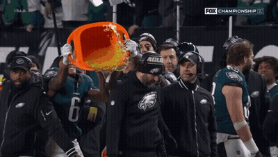 Fox Championship On Screen GIF