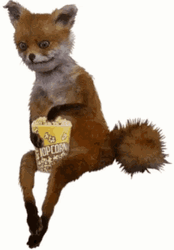 Fox Eating Popcorn