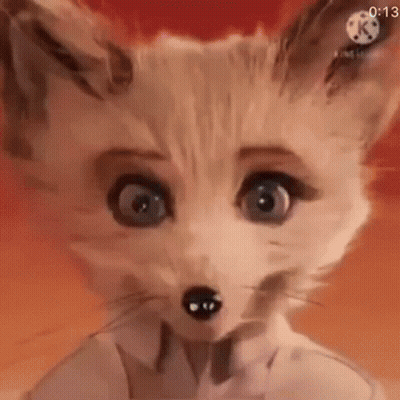 Fox Face With Bow Tie GIF