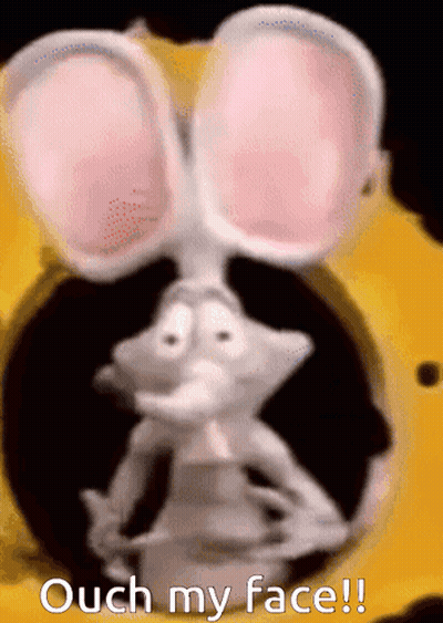 Fox Face With Hi GIF