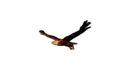 Fox Flying In The Air Sticker