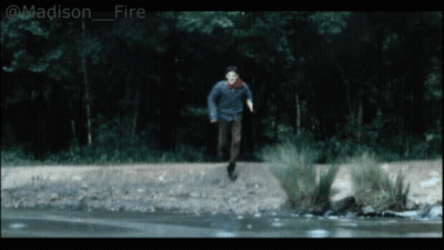 Fox In Shirt And Tie Saying Tax Evasion GIF