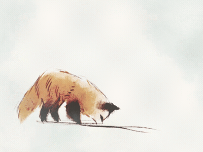 Fox Jumping In The Air GIF