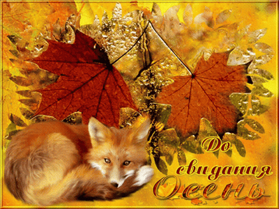 Fox Laying On Autumn Leaves Saying Do Ebuganu Oeenb GIF