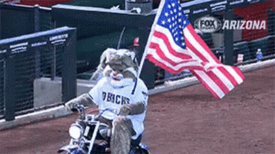 Fox Mascot Riding Motorcycle Holding American Flag GIF