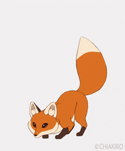 Fox Named Chiakiro GIF