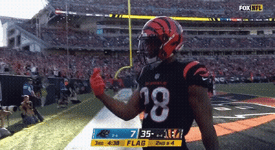 Fox NFL Broadcast Football Game GIF