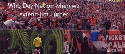 Fox NFL Logo In Crowd Background GIF