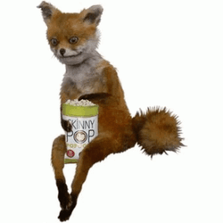 Fox Popcorn Ready GIF