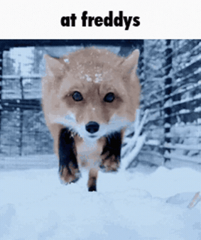 Fox Running In Snow At Freddy's GIF