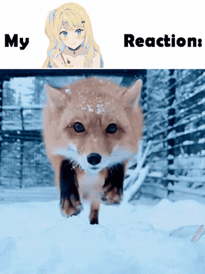 Fox Running In Snow With Girl Saying My Reaction GIF