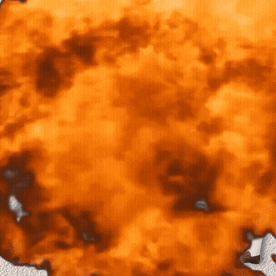 Fox Says I'm Gonna Roast Ya On That Fire GIF