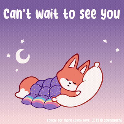 Fox Sleeping Can't Wait To See You GIF