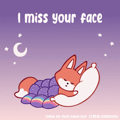 Fox Sleeping I Miss Your Face GIF