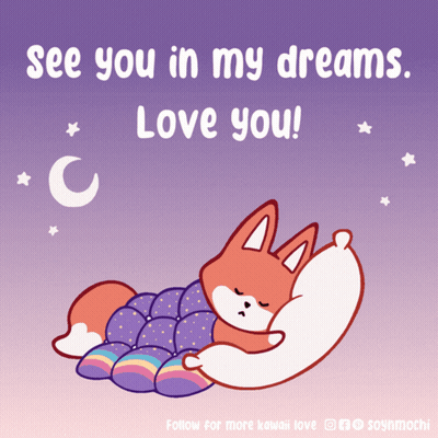 Fox Sleeping Under Blanket See You In My Dreams Love You GIF