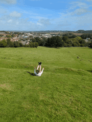 Fox Terrier Dog Running In The Grass GIF