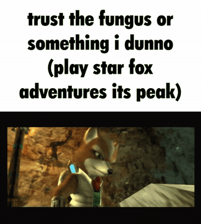 Fox Trust The Fungus GIF