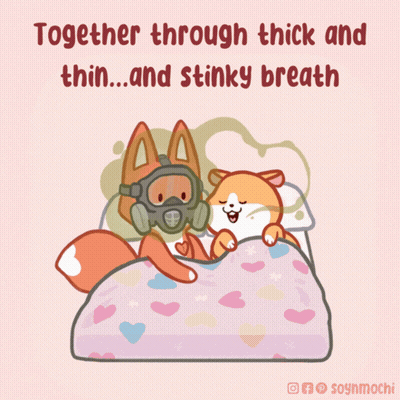 Fox Wearing Gas Mask Lying On Bed GIF