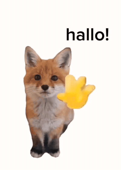 Fox With Hallo Written Above GIF